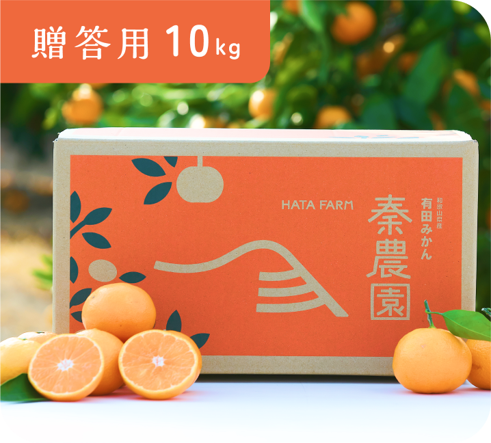 【贈答用】有田みかん(10kg・S〜Lサイズ)