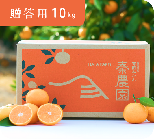【贈答用】有田みかん(10kg・S〜Lサイズ)