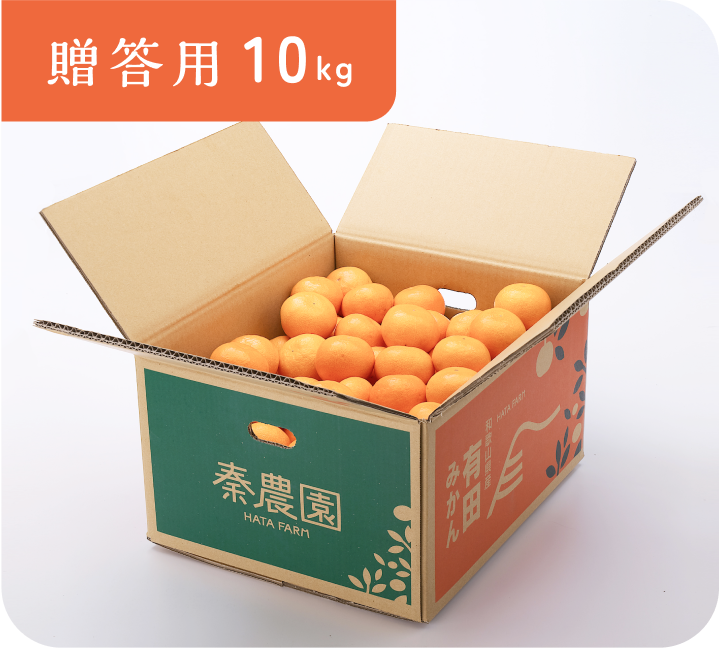 【贈答用】有田みかん(10kg・S〜Lサイズ)