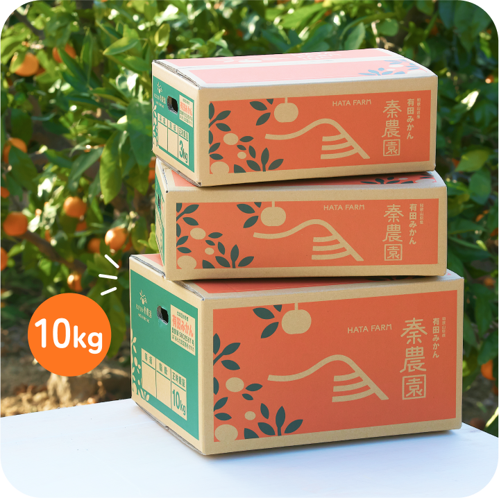 【贈答用】有田市認定みかん(10kg・S〜Lサイズ)
