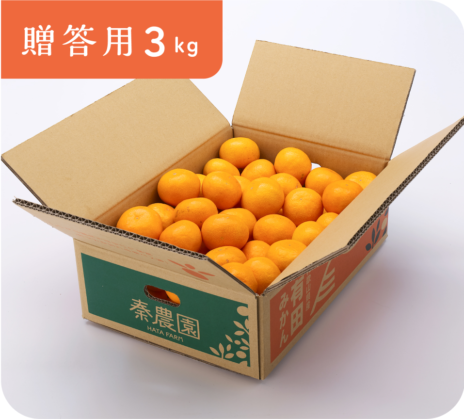 【贈答用】有田みかん(3kg・S〜Lサイズ)