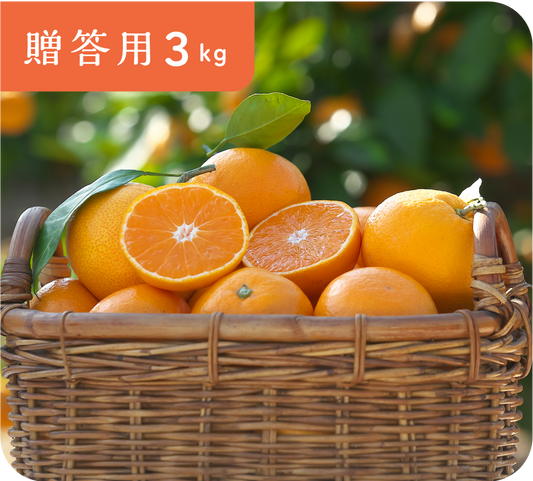【贈答用】有田みかん(3kg・S〜Lサイズ)