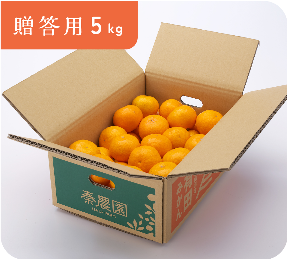 【贈答用】有田みかん(5kg・S〜Lサイズ)