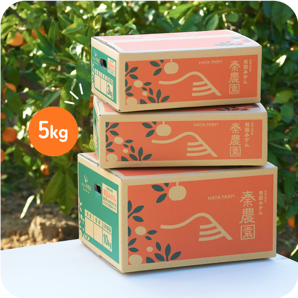 【贈答用】有田みかん(5kg・S〜Lサイズ)
