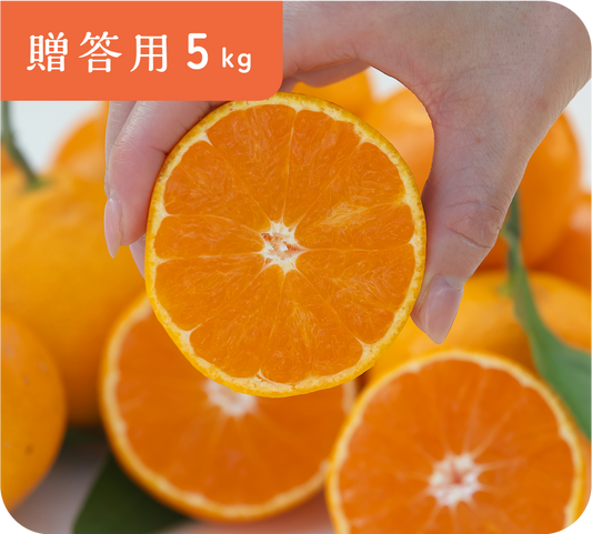 【贈答用】有田みかん(5kg・S〜Lサイズ)