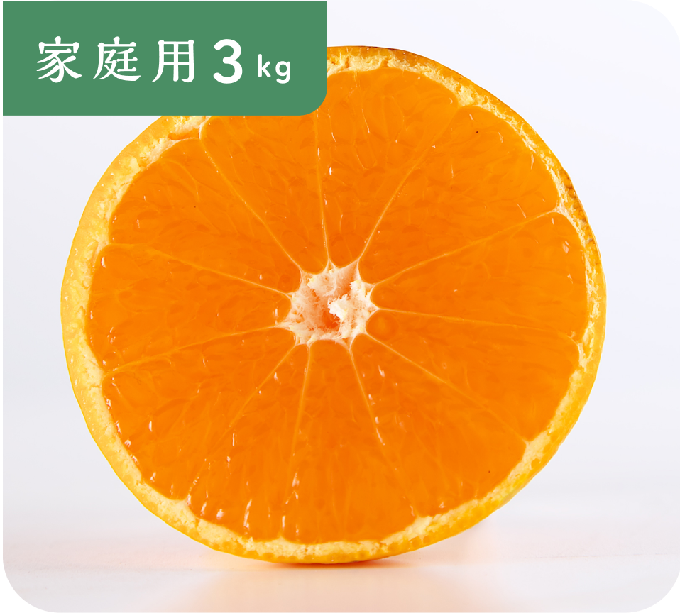 【家庭用】有田みかん(3kg)