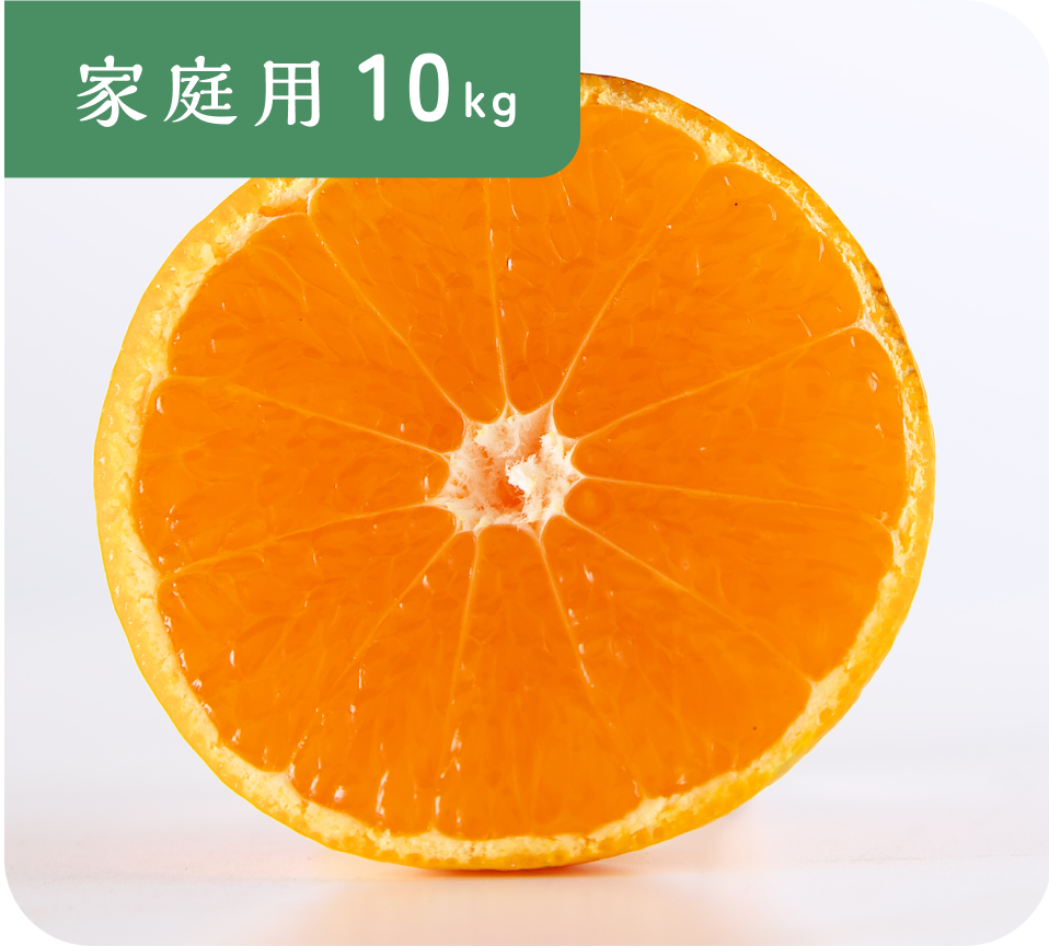 【家庭用】有田みかん(10kg)