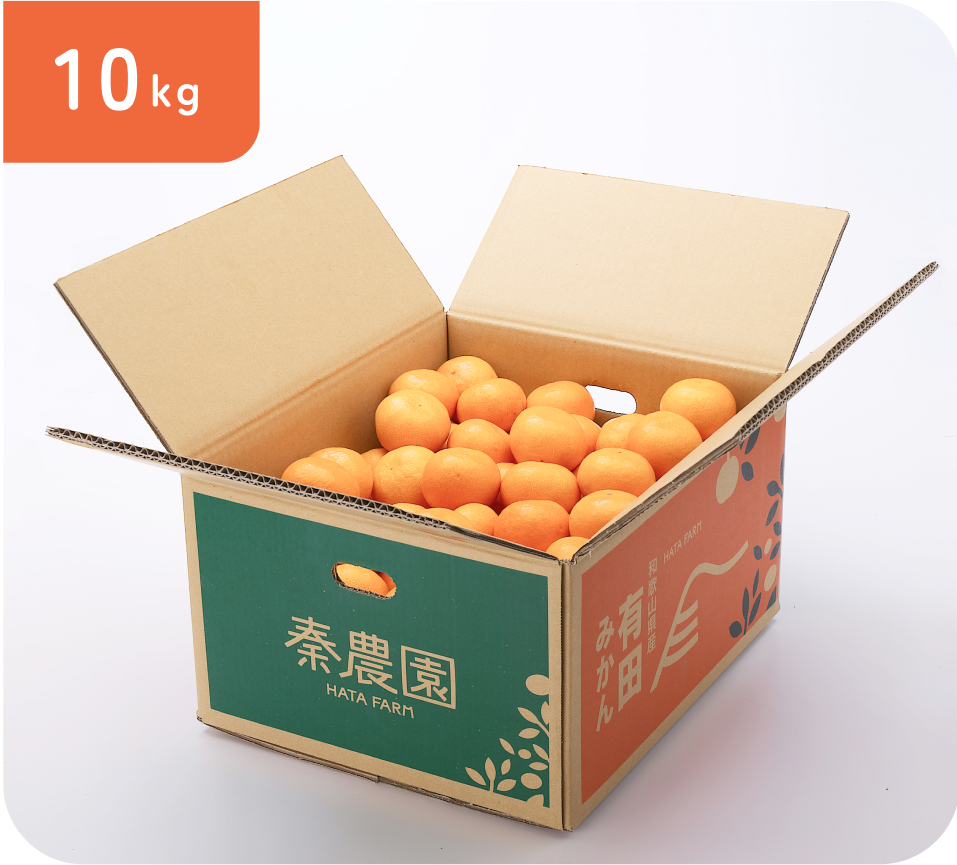 有田市認定みかん(10kg・S〜L混合)