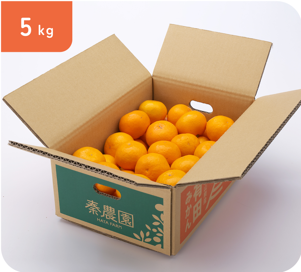 有田市認定みかん(5kg・SSサイズ)