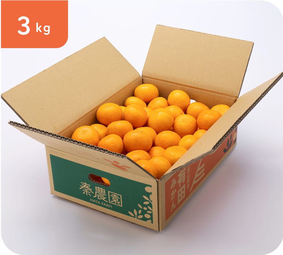 有田みかん(3kg・SSサイズ)