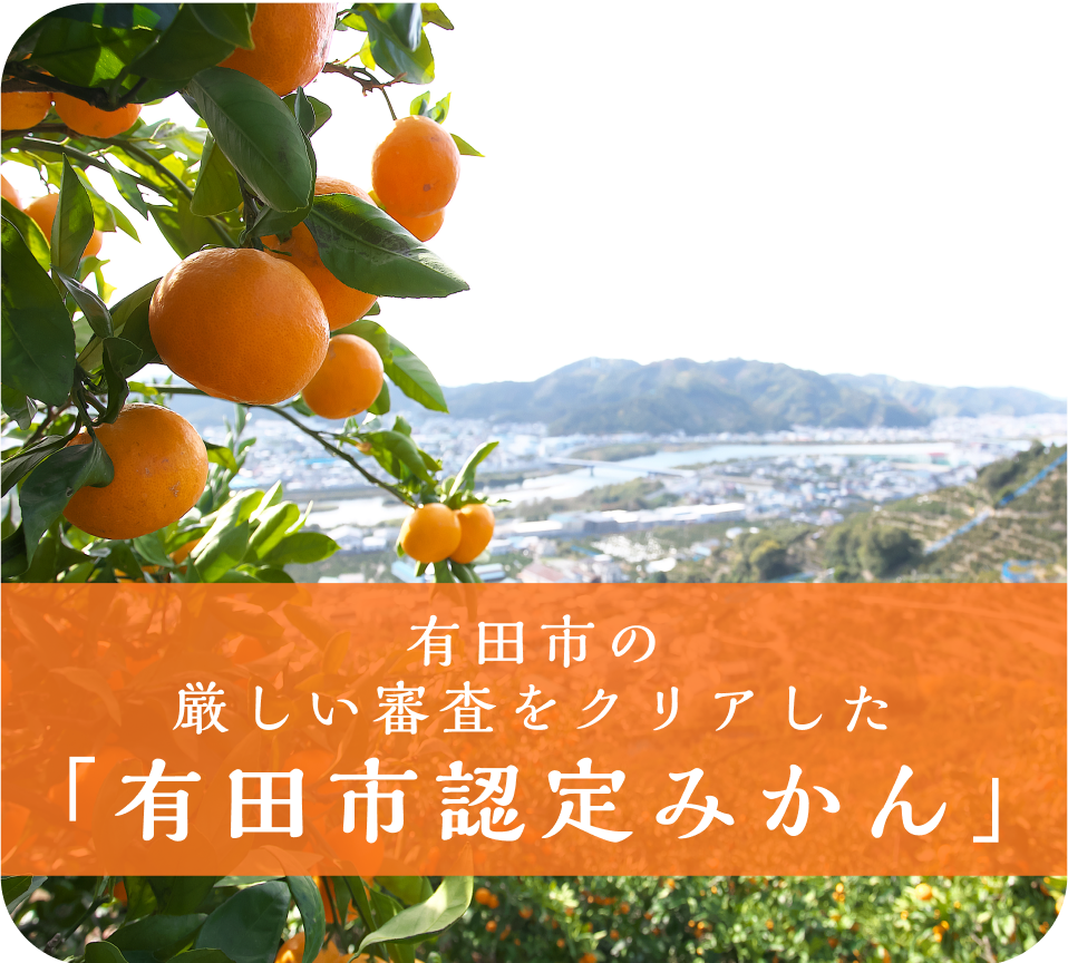 有田市認定みかん(3kg・S〜L混合)