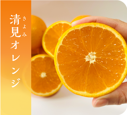 有田産清見オレンジ5kg(サイズ混合)【送料無料】