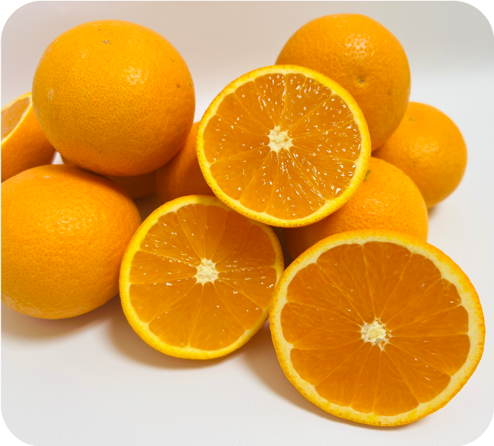 有田産清見オレンジ5kg(サイズ混合)【送料無料】