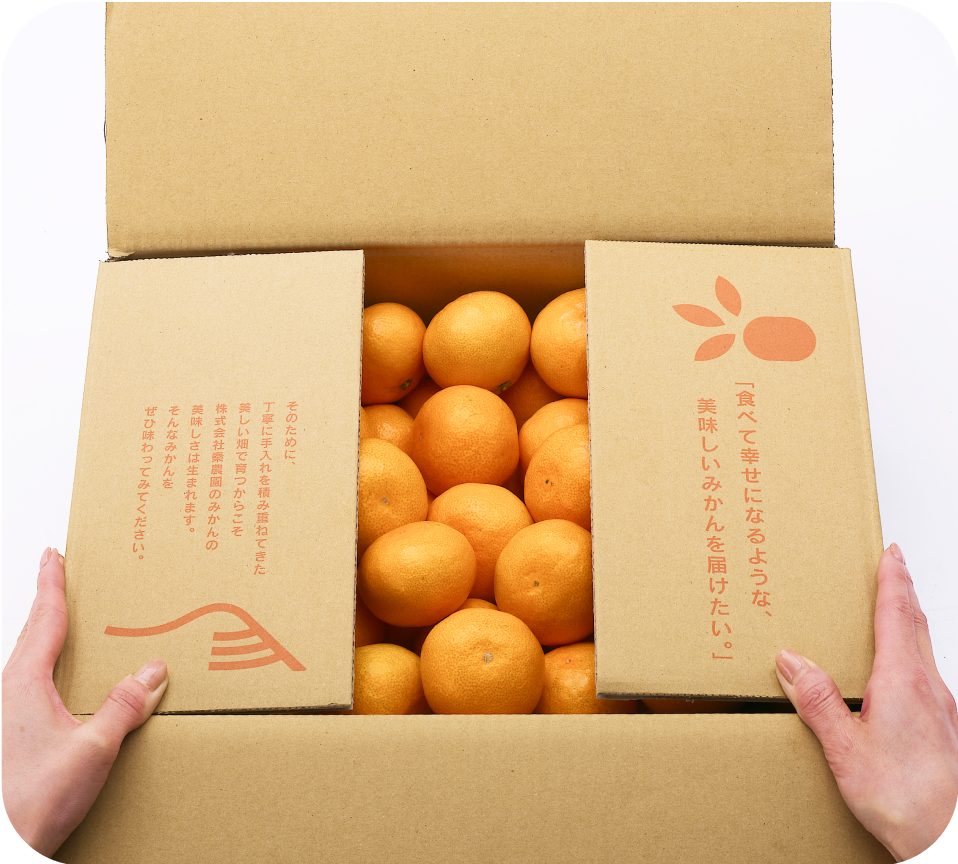 【贈答用】有田市認定みかん(3kg・S〜Lサイズ)