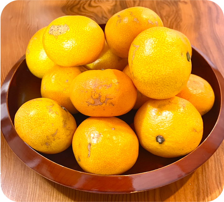 【家庭用】有田みかん(5kg)