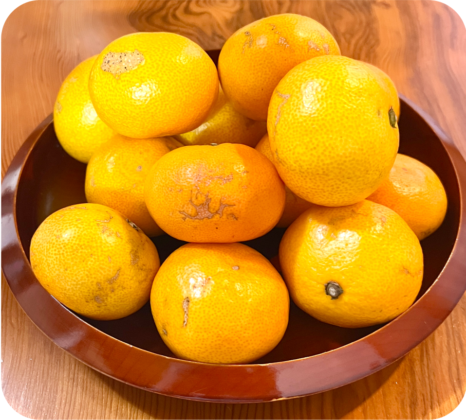 【家庭用】有田みかん(3kg)