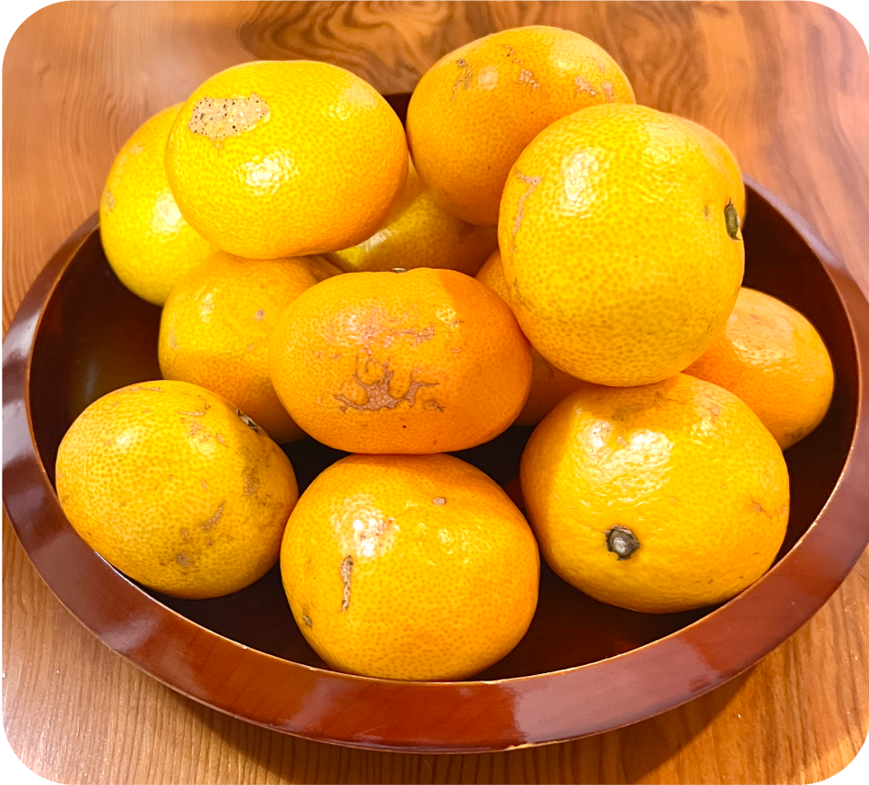 【家庭用】有田みかん(10kg)