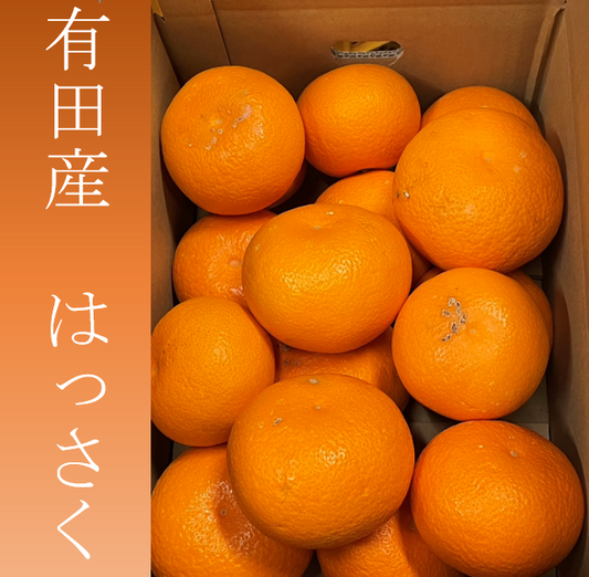有田産はっさく5kg(サイズ混合)