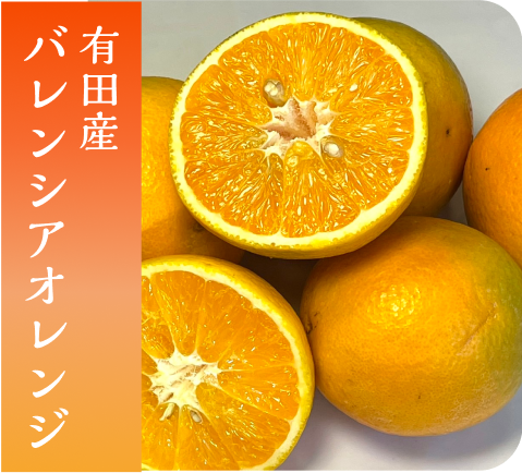 有田産バレンシアオレンジ5kg（サイズ混合）【送料無料】